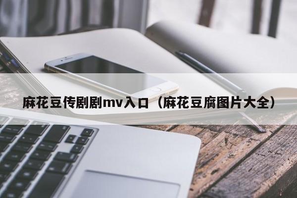麻花豆传剧剧mv入口（麻花豆腐图片大全）