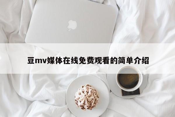 豆mv媒体在线免费观看的简单介绍
