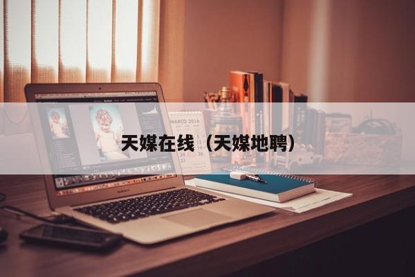 天媒在线（天媒地聘）