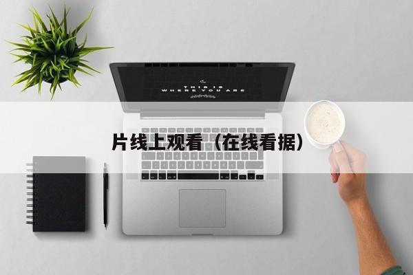 片线上观看（在线看据）