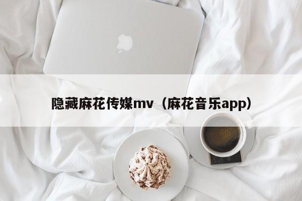 隐藏麻花传媒mv（麻花音乐app）